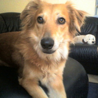 Photo #79573 de Kayla