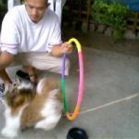 dad_n__pancho