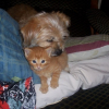 pearle_et_scouby__18_