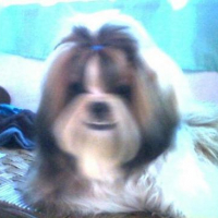 Photo #80569 de Pancho