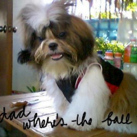 Photo #80575 de Pancho