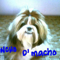 Photo #80581 de Pancho