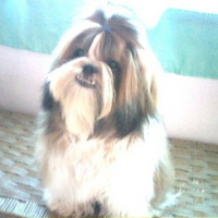 Photo #80587 de Pancho