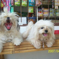 Photo #80611 de Sleepy