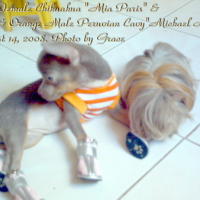 Photo #80971 de Mia paris