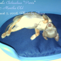 Photo #80983 de Mia paris