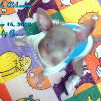 Photo #81001 de Mia paris