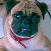 Wrinkles13