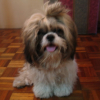 all_with_benji_029