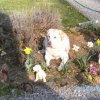 BILD0650