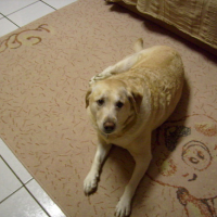 Photo #81523 de Jenny