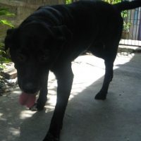 Photo #81655 de Buster