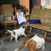 Photo #81733 de Shy