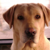 photo_du_27jnvier_020