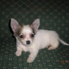 DSCN0334__Small_