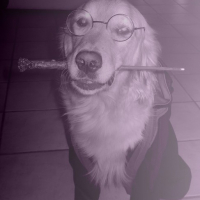 Photo #83629 de Atlas