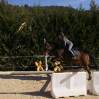 Photo #84181 de Samy