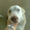 Picture_027