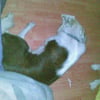 Picture_017
