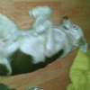 Picture_020