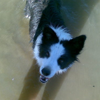 Photo #84565 de Tiernan
