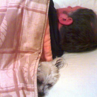 Photo #84661 de Tammi