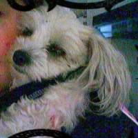 Photo #84667 de Tammi
