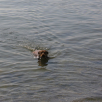 Je vous l'avais dit! J'adore l'eau.. ;)
