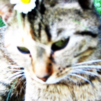 Photo #85711 de Mimine
