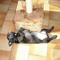 Photo #85975 de Douglas