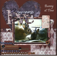 Photo #86095 de Bunny