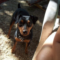 Photo #86587 de Bojack