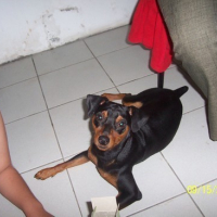 Photo #86617 de Bojack