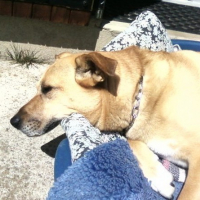 Photo #86749 de Rita