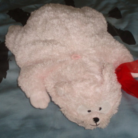 Photo #86797 de Bunny