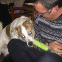 Photo #86977 de Clown