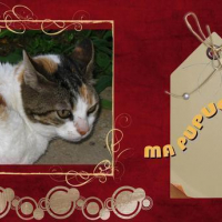 Photo #87013 de Zima