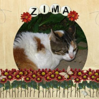 Photo #87019 de Zima