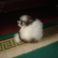 Photo #87163 de Gloria