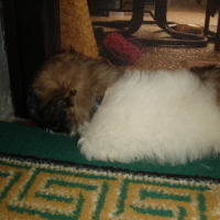 Photo #87169 de Gloria