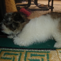 Photo #87181 de Gloria