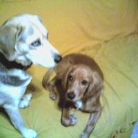 Photo #87619 de Tina