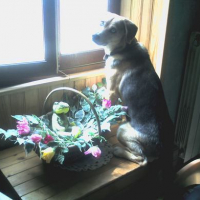 Photo #87625 de Tina