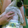 whooops! when she had her first period...