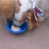 Claude_and_Patty_070906
