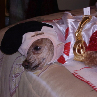 Photo #87877 de Claude