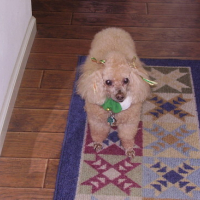 Photo #87883 de Claude
