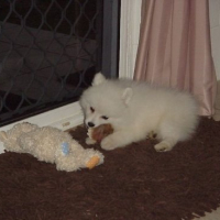 Photo #88105 de Keisha