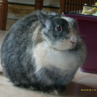 Photo #88123 de Tina