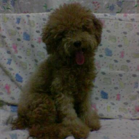 Photo #88393 de Bingo